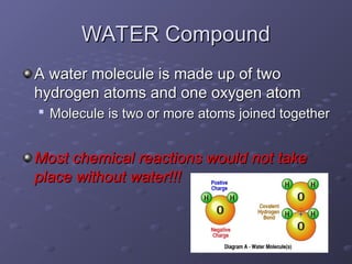 3.1-chemical-compounds .ppt