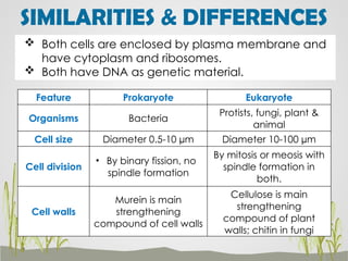 Comprehensive Overview of Cell Structure and Functions in Basic Biology ...