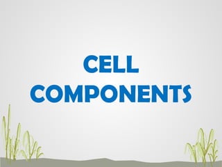Comprehensive Overview of Cell Structure and Functions in Basic Biology ...