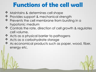 Support Function Cell Comprehensive Overview of Cell Structure and Functions in Basic Biology ...