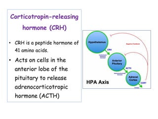 Comprehensive Overview of Hypothalamic and Pituitary Hormones and Their ...