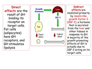 Comprehensive Overview of Hypothalamic and Pituitary Hormones and Their ...