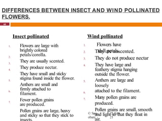 3. Reproduction in living things. animal | PPTX