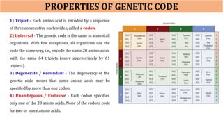The Molecular and Biochemical Basis of Protein Synthesis in Organisms | PDF