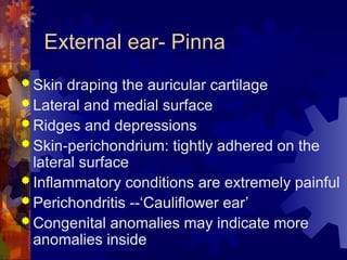 THE ANATOMY OF THE EAR PRESENTATION BY DR ABHINAV SRIVASTAVA | PPT