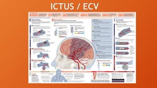 Comprehensive Overview of Cerebral Blood Flow, CSF Dynamics, and Brain ...