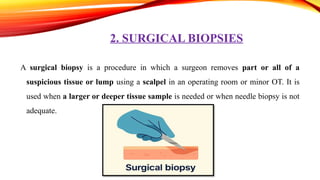 Comprehensive Guide to Biopsy Procedures and Indications in Medical ...