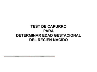 Javao Capirro Método de Capurro para Determinar la Edad Gestacional en Neonatología ...