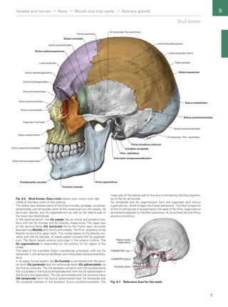 Sobotta Atlas of Human Anatomy: Head, Neck, and Neuroanatomy - 15th ...