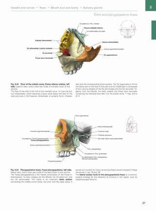 Sobotta Atlas of Human Anatomy: Head, Neck, and Neuroanatomy - 15th ...