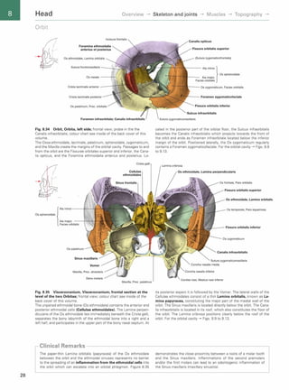 Sobotta Atlas of Human Anatomy: Head, Neck, and Neuroanatomy - 15th ...