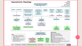 Comprehensive Overview and Management of Hyponatremia in Clinical ...