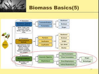 Comprehensive Overview of Biomass Energy: Resources, Production, and ...