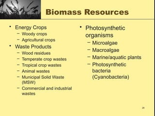 Comprehensive Overview of Biomass Energy: Resources, Production, and ...