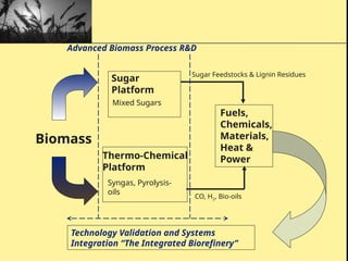 Comprehensive Overview of Biomass Energy: Resources, Production, and ...