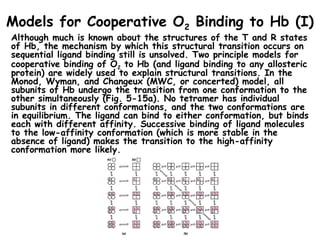 Comprehensive Insights into Hemoglobin Structure, Function, and ...