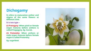 Comprehensive Overview of Pollination Mechanisms and Sex Expression in ...