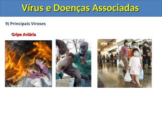 Vírus e Doenças Associadas
Vírus e Doenças Associadas
9) Principais Viroses
Gripe Aviária
Gripe Aviária
 
