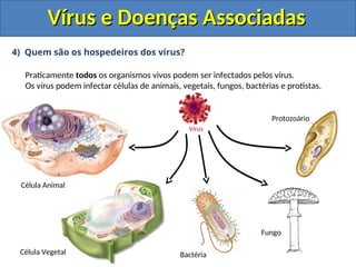 Vírus e Doenças Associadas
Vírus e Doenças Associadas
4) Quem são os hospedeiros dos vírus?
Praticamente todos os organismos vivos podem ser infectados pelos vírus.
Os vírus podem infectar células de animais, vegetais, fungos, bactérias e protistas.
Célula Animal
Célula Vegetal Bactéria
Fungo
Protozoário
Vírus
 