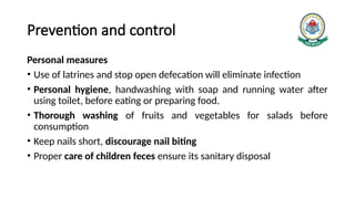 Comprehensive Overview of Trichuris (Whipworm) Infection: Morphology ...