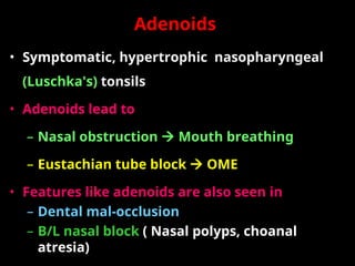 Comprehensive Overview of Tonsils and Adenoids: Anatomy, Pathology, and ...