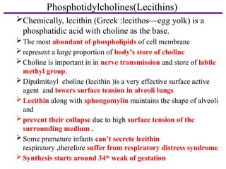 Comprehensive Biochemistry of Lipids for Pharmacy Students: Structure ...