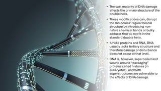 Comprehensive Overview of DNA Structure, Damage, and Repair Mechanisms ...