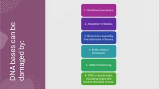 Comprehensive Overview of DNA Structure, Damage, and Repair Mechanisms ...