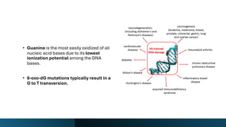 Comprehensive Overview of DNA Structure, Damage, and Repair Mechanisms ...