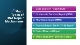 Comprehensive Overview of DNA Structure, Damage, and Repair Mechanisms ...