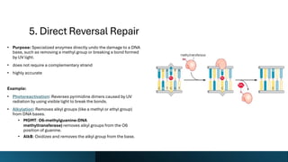 Comprehensive Overview of DNA Structure, Damage, and Repair Mechanisms ...
