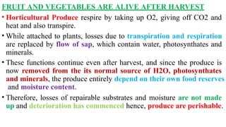 FRUIT AND VEGETABLES ARE ALIVE AFTER HARVEST
• Horticultural Produce respire by taking up O2, giving off CO2 and
heat and also transpire.
• While attached to plants, losses due to transpiration and respiration
are replaced by flow of sap, which contain water, photosynthates and
minerals.
• These functions continue even after harvest, and since the produce is
now removed from the its normal source of H2O, photosynthates
and minerals, the produce entirely depend on their own food reserves
and moisture content.
• Therefore, losses of repairable substrates and moisture are not made
up and deterioration has commenced hence, produce are perishable.
 