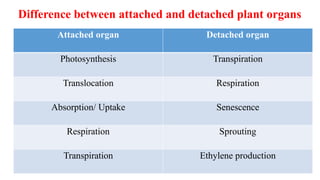 Difference between attached and detached plant organs
Attached organ Detached organ
Photosynthesis Transpiration
Translocation Respiration
Absorption/ Uptake Senescence
Respiration Sprouting
Transpiration Ethylene production
 
