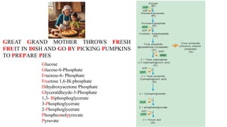GREAT GRAND MOTHER THROWS FRESH
FRUIT IN DISH AND GO BY PICKING PUMPKINS
TO PREPARE PIES
Glucose
Glucose-6-Phosphate
Fructose-6- Phosphate
Fructose 1,6-Bi phosphate
Dihydroxyacetone Phosphate
Glyceraldheyde-3-Phosphate
1,3- Biphosphoglycerate
3-Phosphoglycerate
2-Phosphoglycerate
Phosphoenolpyruvate
Pyruvate
 