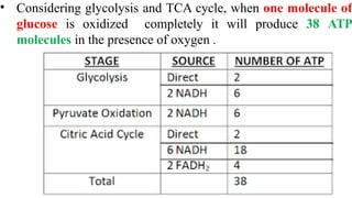 • Considering glycolysis and TCA cycle, when one molecule of
glucose is oxidized completely it will produce 38 ATP
molecules in the presence of oxygen .
 
