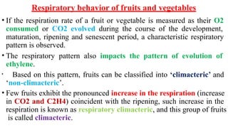 Respiratory behavior of fruits and vegetables
• If the respiration rate of a fruit or vegetable is measured as their O2
consumed or CO2 evolved during the course of the development,
maturation, ripening and senescent period, a characteristic respiratory
pattern is observed.
• The respiratory pattern also impacts the pattern of evolution of
ethylene.
• Based on this pattern, fruits can be classified into ‘climacteric’ and
‘non-climacteric’.
• Few fruits exhibit the pronounced increase in the respiration (increase
in CO2 and C2H4) coincident with the ripening, such increase in the
respiration is known as respiratory climacteric, and this group of fruits
is called climacteric.
 
