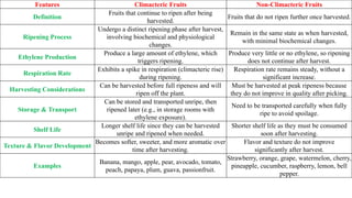 Features Climacteric Fruits Non-Climacteric Fruits
Definition
Fruits that continue to ripen after being
harvested.
Fruits that do not ripen further once harvested.
Ripening Process
Undergo a distinct ripening phase after harvest,
involving biochemical and physiological
changes.
Remain in the same state as when harvested,
with minimal biochemical changes.
Ethylene Production
Produce a large amount of ethylene, which
triggers ripening.
Produce very little or no ethylene, so ripening
does not continue after harvest.
Respiration Rate
Exhibits a spike in respiration (climacteric rise)
during ripening.
Respiration rate remains steady, without a
significant increase.
Harvesting Considerations
Can be harvested before full ripeness and will
ripen off the plant.
Must be harvested at peak ripeness because
they do not improve in quality after picking.
Storage & Transport
Can be stored and transported unripe, then
ripened later (e.g., in storage rooms with
ethylene exposure).
Need to be transported carefully when fully
ripe to avoid spoilage.
Shelf Life
Longer shelf life since they can be harvested
unripe and ripened when needed.
Shorter shelf life as they must be consumed
soon after harvesting.
Texture & Flavor Development
Becomes softer, sweeter, and more aromatic over
time after harvesting.
Flavor and texture do not improve
significantly after harvest.
Examples
Banana, mango, apple, pear, avocado, tomato,
peach, papaya, plum, guava, passionfruit.
Strawberry, orange, grape, watermelon, cherry,
pineapple, cucumber, raspberry, lemon, bell
pepper.
 