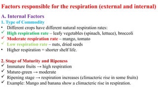 Factors responsible for the respiration (external and internal)
A. Internal Factors
1. Type of Commodity
• Different crops have different natural respiration rates:
 High respiration rate – leafy vegetables (spinach, lettuce), broccoli
 Moderate respiration rate – mango, tomato
 Low respiration rate – nuts, dried seeds
• Higher respiration = shorter shelf life.
2. Stage of Maturity and Ripeness
 Immature fruits → high respiration
 Mature-green → moderate
 Ripening stage → respiration increases (climacteric rise in some fruits)
 Example: Mango and banana show a climacteric rise in respiration.
 