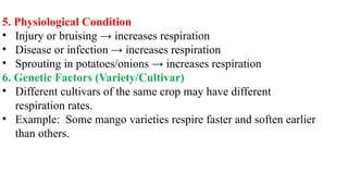 5. Physiological Condition
• Injury or bruising → increases respiration
• Disease or infection → increases respiration
• Sprouting in potatoes/onions → increases respiration
6. Genetic Factors (Variety/Cultivar)
• Different cultivars of the same crop may have different
respiration rates.
• Example: Some mango varieties respire faster and soften earlier
than others.
 