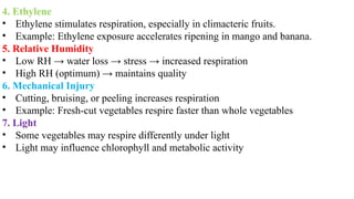 4. Ethylene
• Ethylene stimulates respiration, especially in climacteric fruits.
• Example: Ethylene exposure accelerates ripening in mango and banana.
5. Relative Humidity
• Low RH → water loss → stress → increased respiration
• High RH (optimum) → maintains quality
6. Mechanical Injury
• Cutting, bruising, or peeling increases respiration
• Example: Fresh-cut vegetables respire faster than whole vegetables
7. Light
• Some vegetables may respire differently under light
• Light may influence chlorophyll and metabolic activity
 