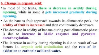 6. Change in organic acid:
•In most of the fruits, there is decrease in acidity during
ripening, while in some it gets increased gradually during
ripening.
• As the banana fruit approach towards its climacteric peak, the
acidity of fruit is increased and then continuously decreases.
•The decrease in acidity of banana during post climacteric phase
is due to increase in Malic enzymes and pyruvate
decarboxylation.
•The increase in acidity during ripening is due to result of two
factors i.e. organic acid assimilation and the rate of its
oxidation to carbonic acid and water.
 
