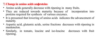 7.Changein amino acids and
proteins
• Amino acids generally decrease with ripening in many fruits.
• They are reduced towards maturity because of incorporation into
proteins required for synthesis of various enzymes.
• It is presumed that lowering of amino acids indicates the advancement of
maturity.
• Aspartic acid, glutamic acids, serine fractions decreases with ripening in
muskmelon.
• Similarly, in tomato, leucine and iso-leucine decreases with fruit
ripening.
 