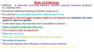 Role of Ethylene
• Ethylene is naturally occurring odorless, tasteless, gaseous hormone produced
by ripening fruits.
• It promotes additional ripening of produce expose to it.
• It is said that one bad apple spoils the whole bushel is true.
• Damaged or diseased apples produce high level of ethylene and stimulates the other
apples to ripen too quickly.
• As the fruits ripen, they becomes more susceptible to diseases.
• Some examples of ethylene effect are:
Loss of green color in snap beans
Bitterness in carrot
Softening and development of off flavor in watermelon
Sprouting of potatoes
Increased ripening and softening of mature green tomatoes
Yellowing and abscission of leaves of broccoli, cabbage and cauliflower
 