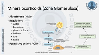 Dr Faiza Ikram, Asst. Prof. Physiology 12
info@medicoseacademics.com
0310-7990649
Mineralocorticoids (Zona Glomerulosa)
• Aldosterone (Major)
• Regulation:
• ACTH
• Potassium
• plasma volume
• Sodium
• ANP
• Renin
• Permissive action: ACTH
 