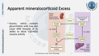 Dr Faiza Ikram, Asst. Prof. Physiology 13
info@medicoseacademics.com
0310-7990649
Apparent mineralocorticoid Excess
• licorice, which contains
glycyrrhetinic acid, may also
cause AME because of its
ability to block 11β-HSD2
enzyme activity
 