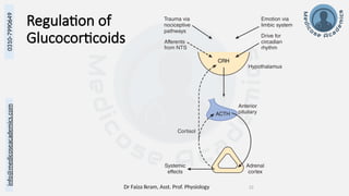 Dr Faiza Ikram, Asst. Prof. Physiology 22
info@medicoseacademics.com
0310-7990649
Regulation of
Glucocorticoids
 