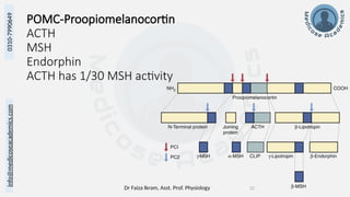 Dr Faiza Ikram, Asst. Prof. Physiology 23
info@medicoseacademics.com
0310-7990649
POMC-Proopiomelanocortin
ACTH
MSH
Endorphin
ACTH has 1/30 MSH activity
 