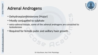 Dr Faiza Ikram, Asst. Prof. Physiology 24
info@medicoseacademics.com
0310-7990649
Adrenal Androgens
• Dehydroepiandrosterone (Major)
• Mostly conjugated to sulphate
• extra-adrenal tissues, some of the adrenal androgens are converted to
testosterone
• Required for female pubic and axillary haor growth
 