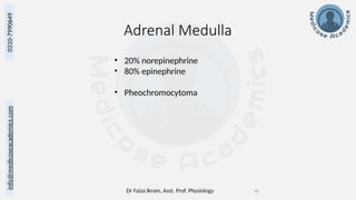Dr Faiza Ikram, Asst. Prof. Physiology 40
info@medicoseacademics.com
0310-7990649
Adrenal Medulla
• 20% norepinephrine
• 80% epinephrine
• Pheochromocytoma
 