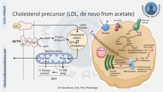 Dr Faiza Ikram, Asst. Prof. Physiology 4
info@medicoseacademics.com
0310-7990649
Cholesterol precursor (LDL, de novo from acetate)
 